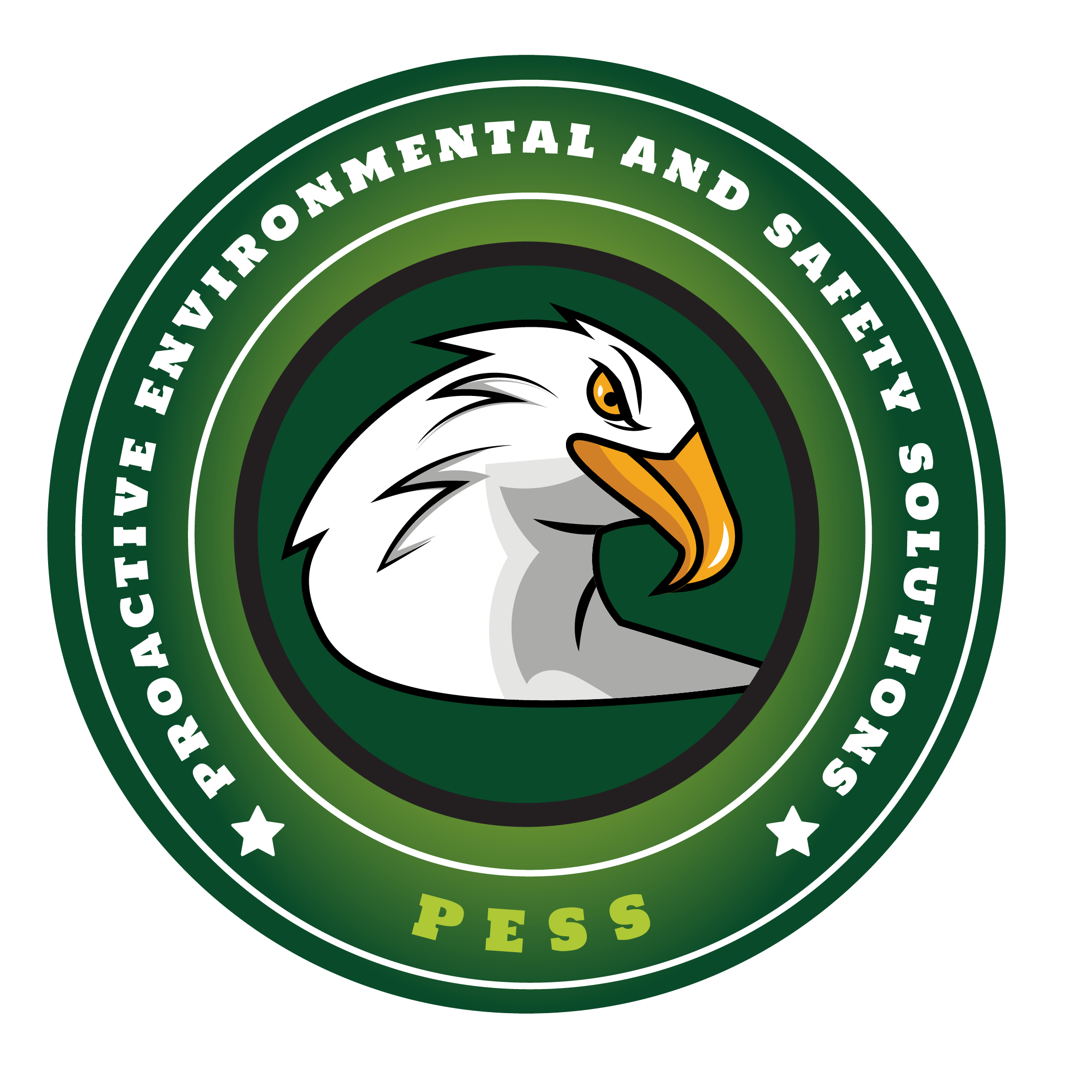Proactive Environmental and Safety Solutions