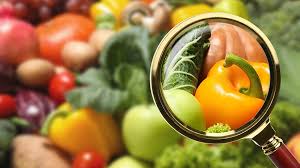Food Safety Level V